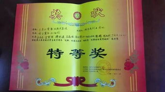 电子商务专业学生优势怎么写