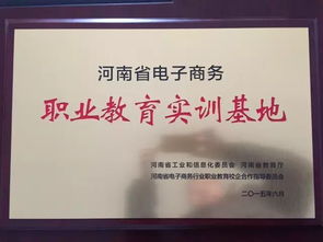 专业性电子商务咨询公司