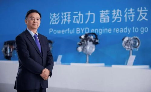罗翔评价电子商务专业
