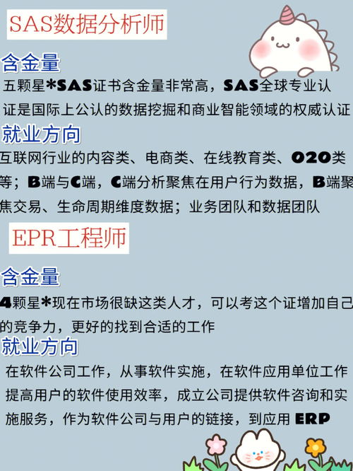 电子商务单招专业考什么