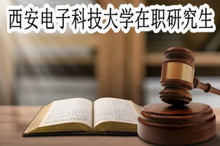 在职研究生电子商务专业
