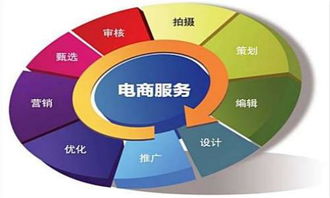 电子商务专业有哪几种