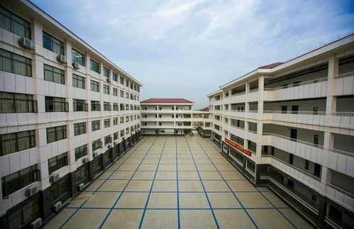 新余电子商务专业学校