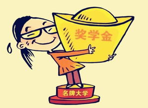 电子商务专业会学动漫吗
