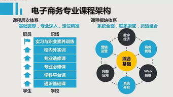 电子商务专业分什么系的