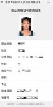 专业电子商务师国网可查
